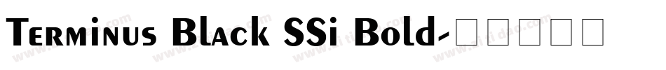 Terminus Black SSi Bold字体转换
